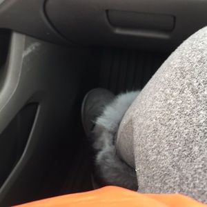 Meet your Posher, Korina